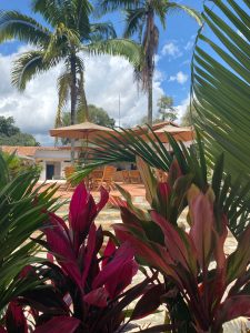 Hacienda-el-novillero-Fusagasuga-Desconexion-Dos